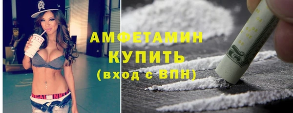 гидра Богородск