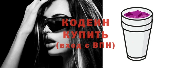 хмурый Богородицк