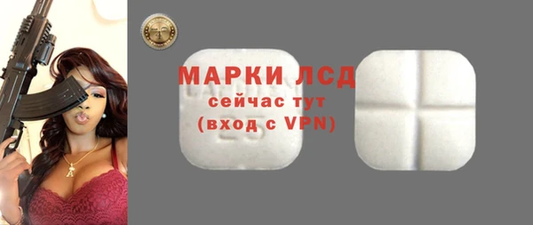 гидра Богородск