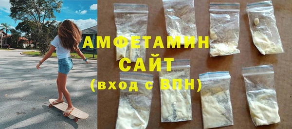 гидра Богородск