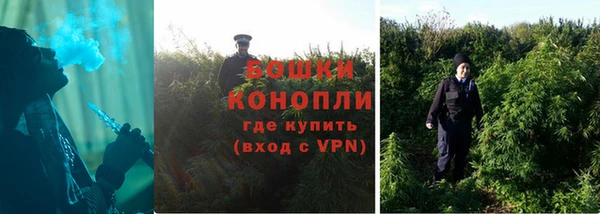 гидра Богородск