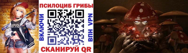 shop клад Ковылкино Псилоцибиновые грибы Psilocybine cubensis